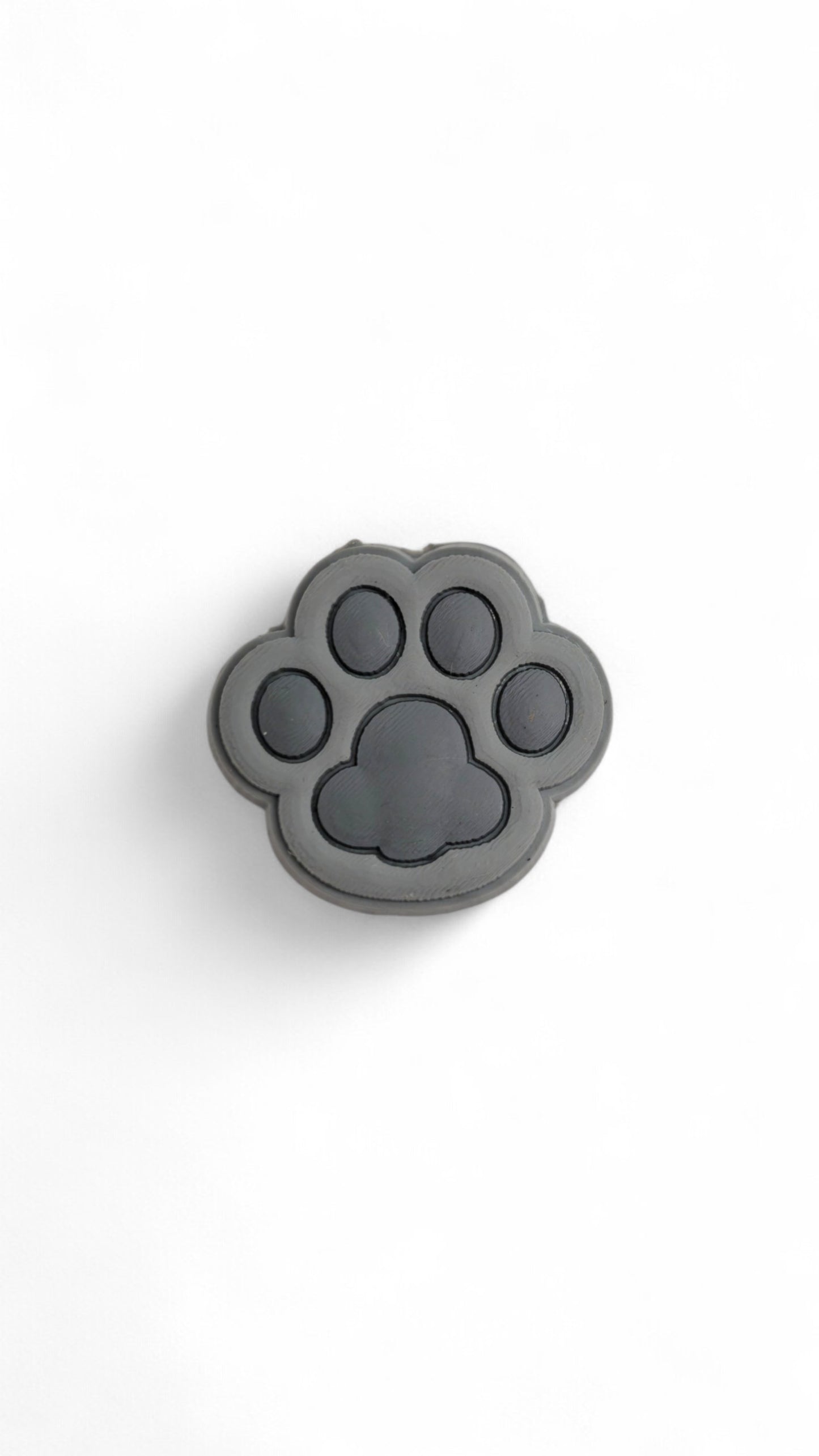 Stone Paw